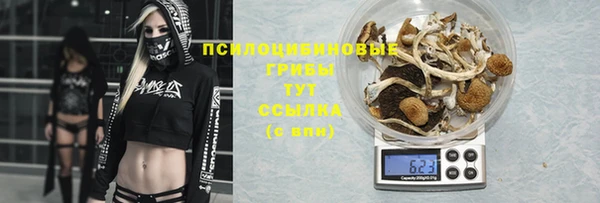 спиды Кинешма