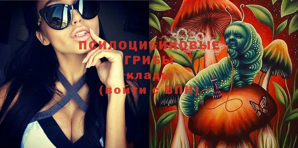 a pvp Киренск