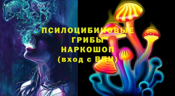 спиды Кинешма