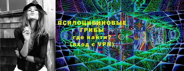 соль ск Козловка