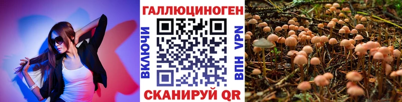 Купить закладки  Донской  Псилоцибиновые грибы MAGIC MUSHROOMS 
